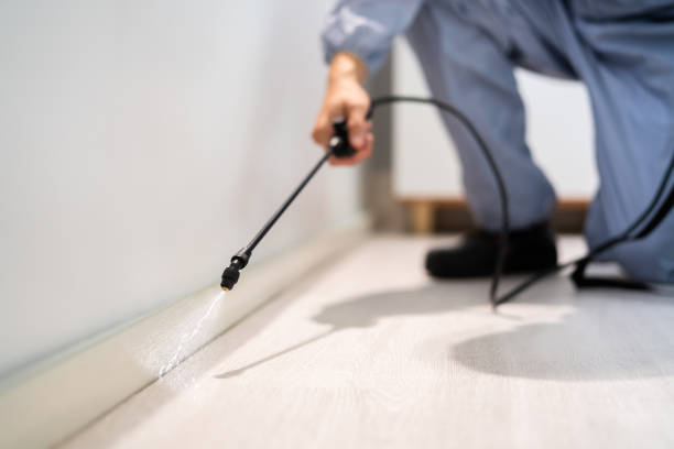Certified termite inspector examining foundation in Caraway