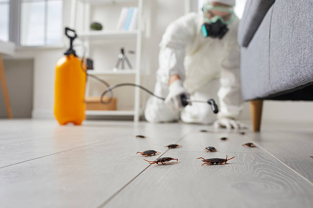 Commercial Rodent Management in Caraway